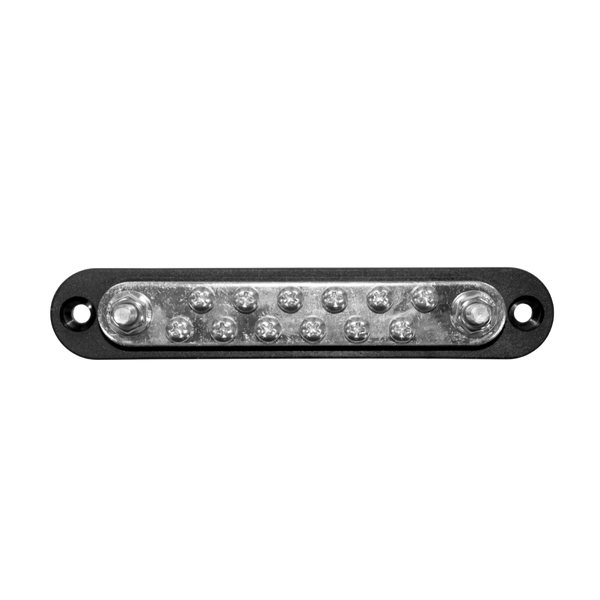 Top view of black busbar with tin-plated copper bus, twelve screws and two terminal studs