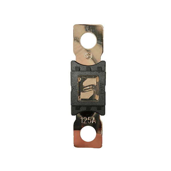 Exotronic Mega/AMG/ANM Fuse 125A Main Image