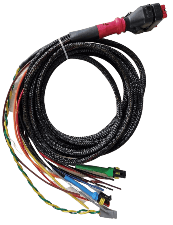 Wakespeed WS500 P-type wiring harness with CAN bus in harness Main Image