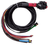 Wakespeed WS500 P-type wiring harness Main Image