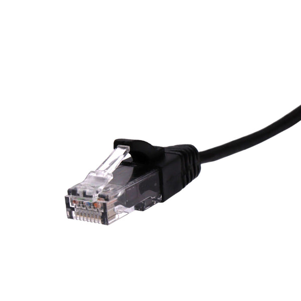 Extreme close-up of clear RJ45 connector head showing gold-plated pins and internal twisted pair wiring