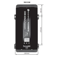 Dimensional drawing of 12V 100A charger indicating 425mm length and 220mm width