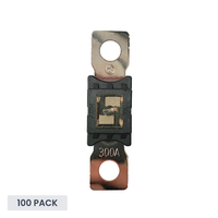 Exotronic 300A Mega/AMG/ANM Fuse - 100 pack
