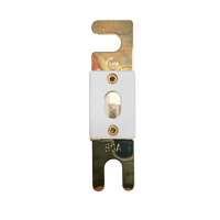 Top view of 80A ANL fuse with gold-plated terminals and white ceramic housing showing inspection window
