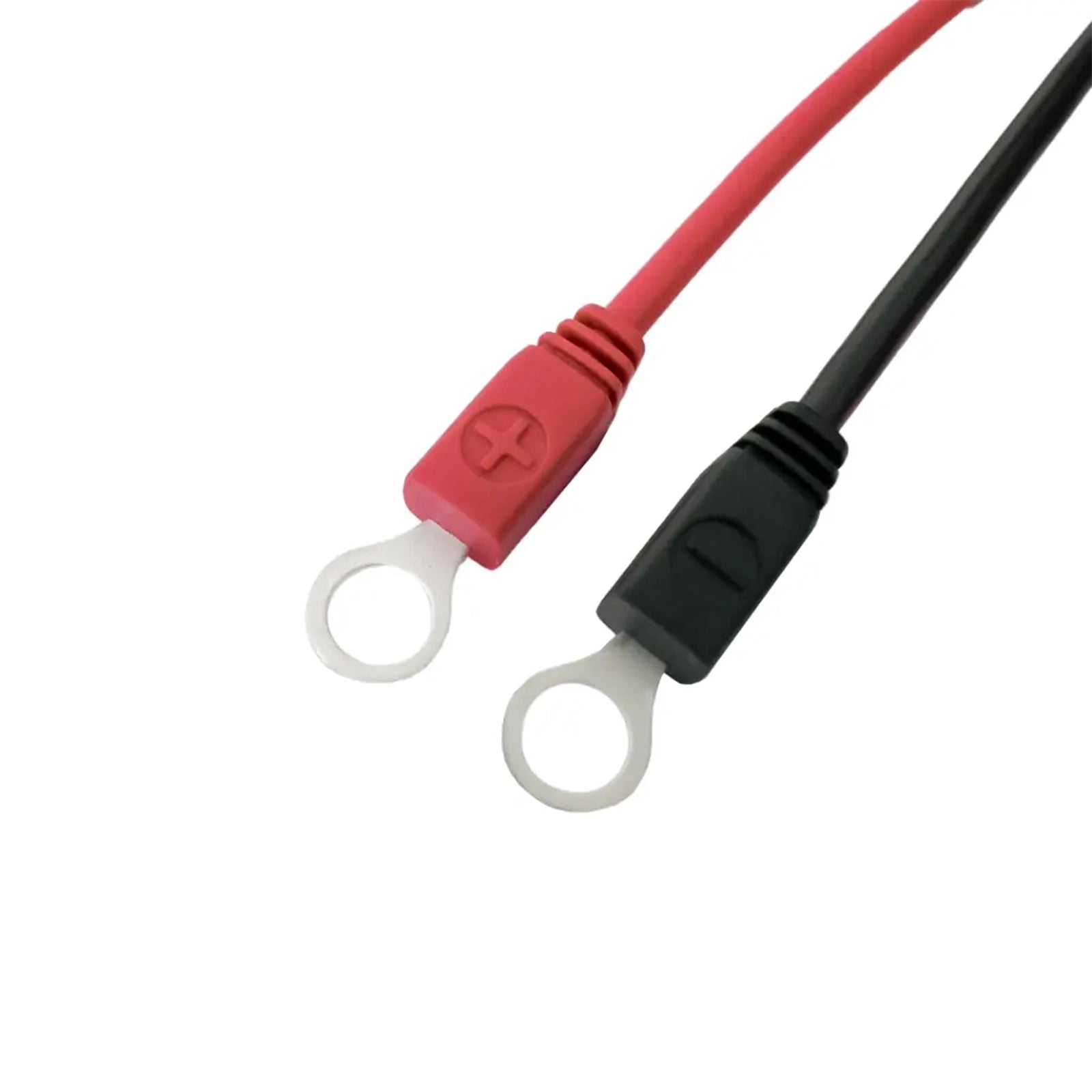 Close-up of M6 ring terminal eyelets with red and black polarity boots