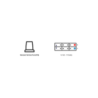 Diagrams showing standard terminal post shape and 12-volt F-polarity cell configuration