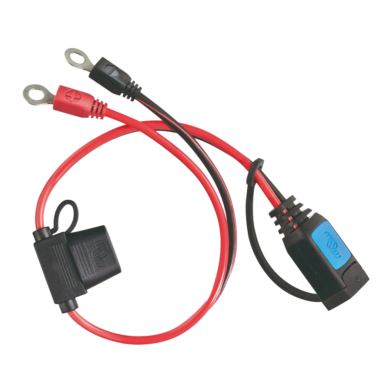 Victron M6 eyelet connector cable with inline fuse holder and blue DC quick-connect plug