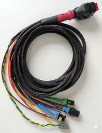Wakespeed WS500 P-type wiring harness featuring braided loom, CANBus plug and colour-coded leads