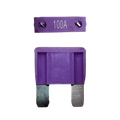 Purple 100A maxi blade fuse showing top amperage rating and side profile with silver terminals
