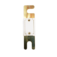 Rear view of 500A ANL fuse displaying solid ceramic back