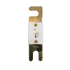 Exotronic ANL Fuse 60A Main Image