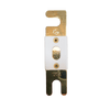 Exotronic ANL Fuse 125A Main Image