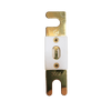 Exotronic ANL Fuse 300A Main Image