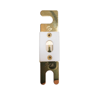 Top-down view of Exotronic 250A ANL fuse showing ceramic body and gold terminals