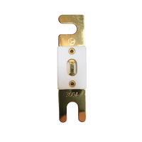 Top-down view of 300A ANL fuse showing gold-plated terminals and white ceramic housing