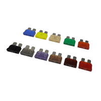 Assorted colour-coded ATO/ATC blade fuses ranging from 1A black to 40A orange arranged in two rows