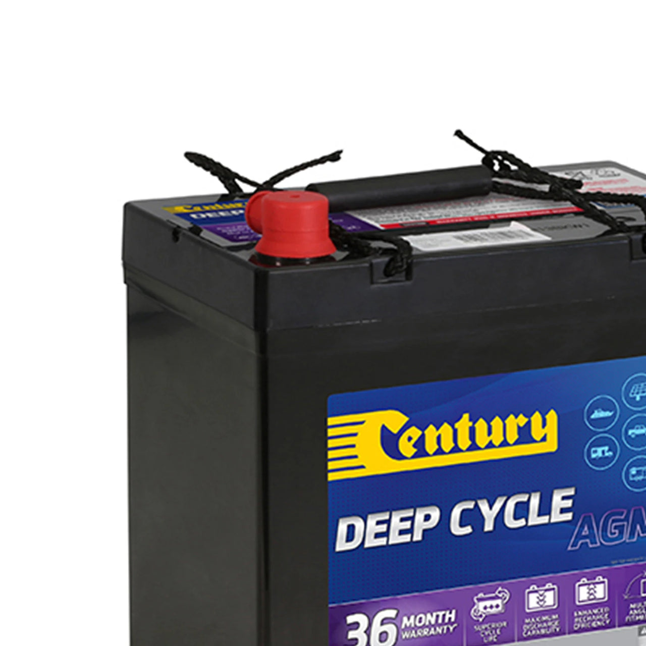 Century 12V 55Ah AGM deep cycle battery featuring a red terminal cap and integrated carry handle