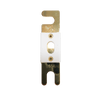 Front view of Exotronic 600A ANL fuse with gold-plated terminals and ceramic body