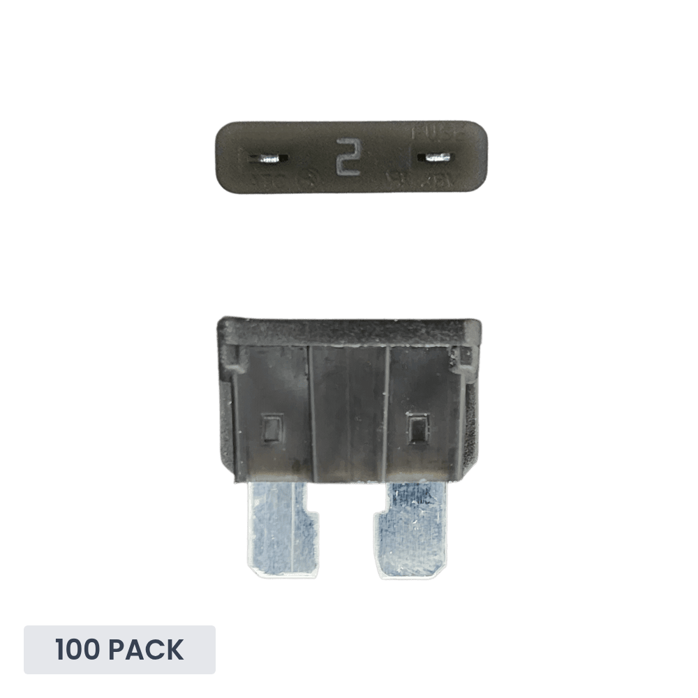 Exotronic 2A ATO/ATC Standard Automotive Blade Fuse - 100 pack