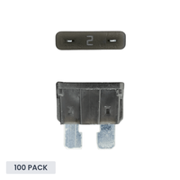 Exotronic 2A ATO/ATC Standard Automotive Blade Fuse - 100 pack