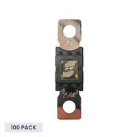 Exotronic 250A Mega/AMG/ANM Fuse - 100 pack