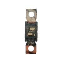 Top-down view of 300A Mega fuse with black housing and clear window