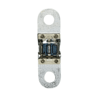 Rear view of a 100A MIDI fuse showing internal element detail and metal terminals