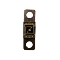 Exotronic 100A Midi fuse front view showing clear window with visible element and M6 mounting holes