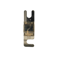 Top view of 60A Midi fuse featuring clear housing and tin-plated terminals