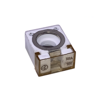 Exotronic 300A MRBF terminal fuse with white ceramic body and clear window showing 300A 58V text