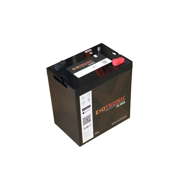 Rear angle view of Exotronic 48V battery showing robust construction and sealed lid