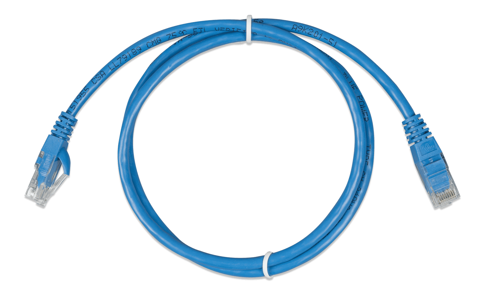 Coiled 0.9m blue Cat5e RJ45 UTP Ethernet patch cable with clear modular connectors