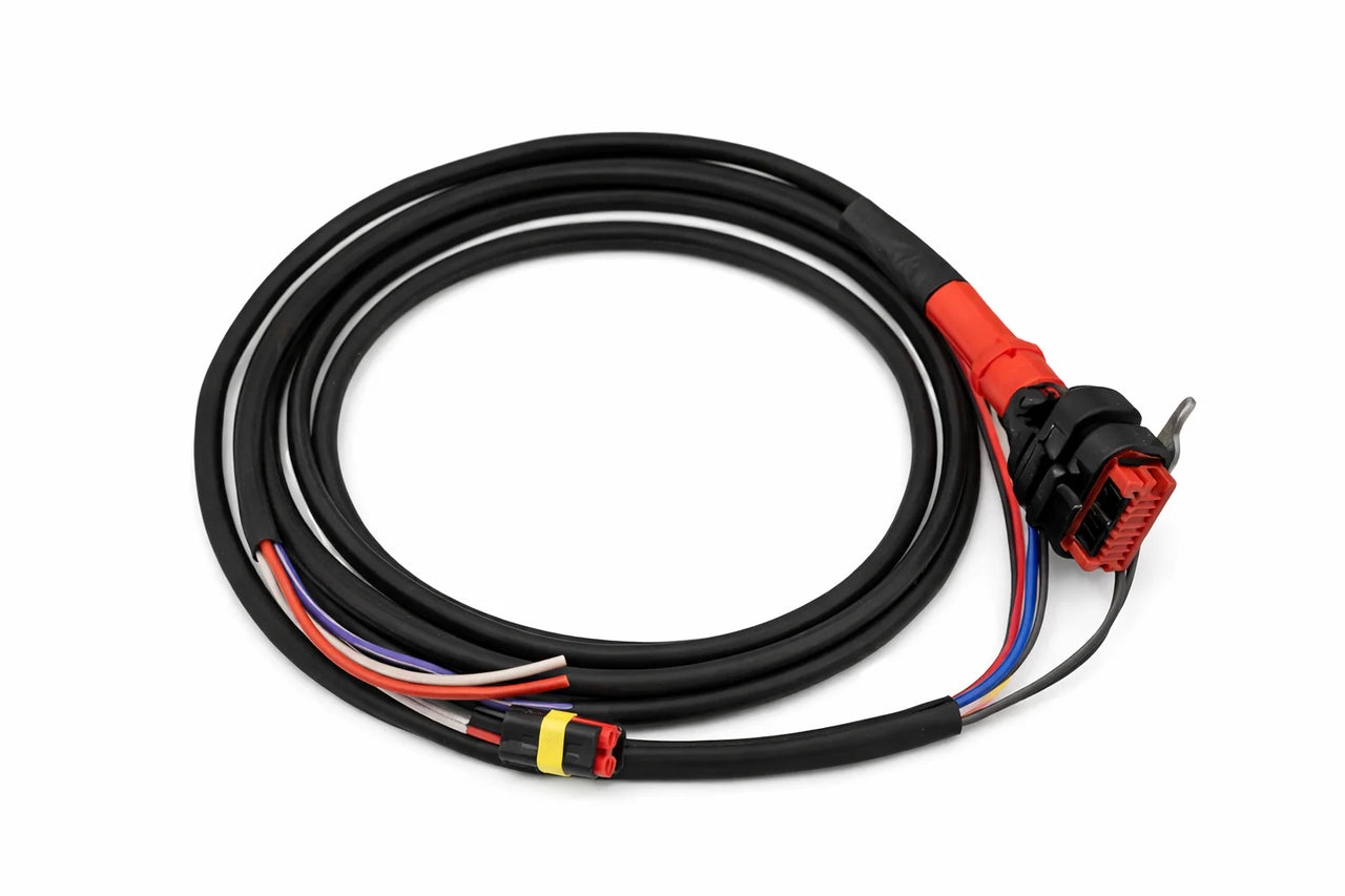 Coiled Wakespeed WS500 N-type wiring harness with main multi-pin connector and colour-coded wire leads